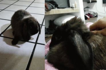Before/After