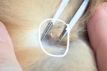 What could this be?