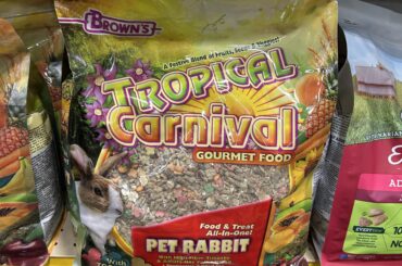 Lady said i can swap my regular hay for these hay pellets is that true? I’m