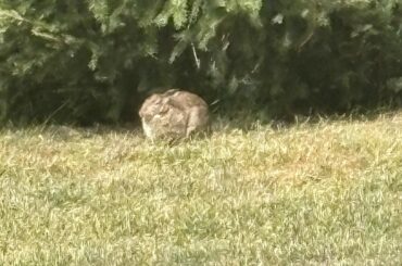 Look at this UNIT