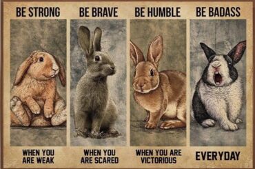 Rabbits are family