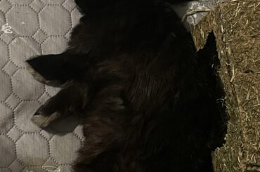 nap time
