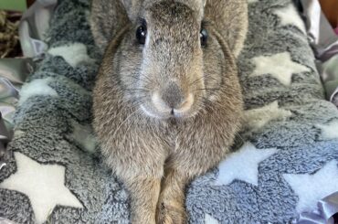 Is it dinner time?