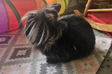 Don't hate me because I'm Beautiful