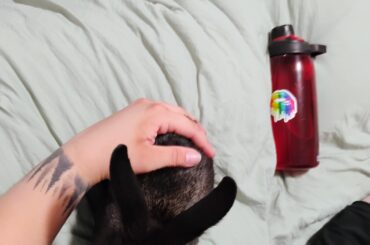 Do y'alls bunnies do this??