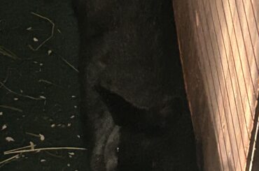 This is my baby girl