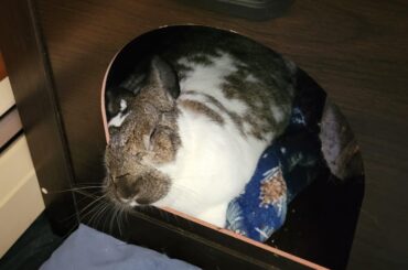 This Can't Be Comfortable