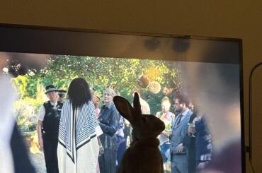 I didn’t really wanna watch the show anyways 🤷🏻‍♀️