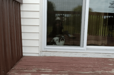 My grandma was working on the deck today. She saw this when she looked up.