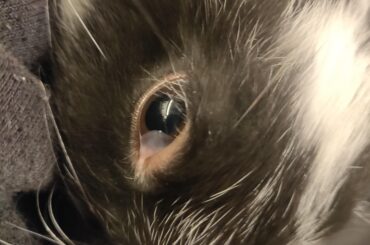 What's that in her eye? Is this normal?