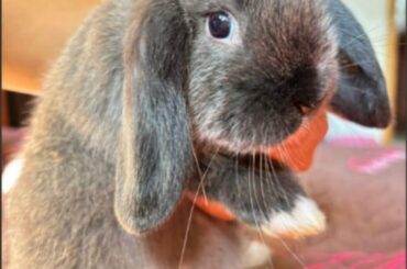 Name for my new baby?