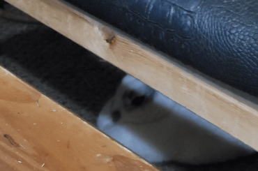 I feel im being judged...
