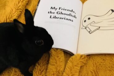 Studying to be spooky