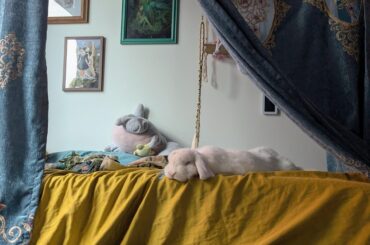 I really liked this photo I got of Cream Puff earlier