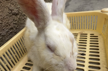 Am new hear seeking for support at my shelter