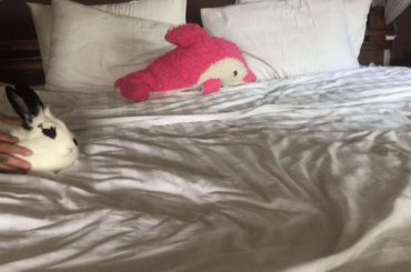 Dad teaches his daughter how to make the bed 🐰