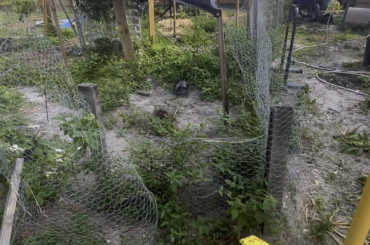 I’ve had a few people ask about their enclosure so figured I would share. I overestimated the size, we just ordered a shade cloth to cover the entire enclosure so when we measured it was 28’x15’. I was wondering though…