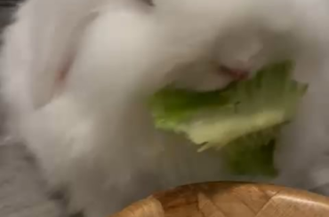 Romantic dinner for two 🥰