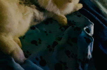 I want to touch the eepy bunny’s feetsies. ❤️🐰🐾