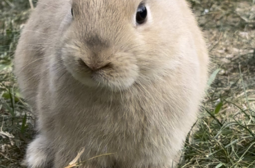 he seems so innocent 🥰