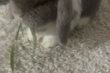 “Ooooh repotting your plants? Don’t mind if I do!”