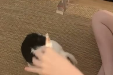 Has he learned how to pick? (Body)