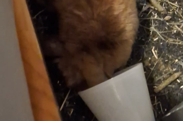 The empty cup