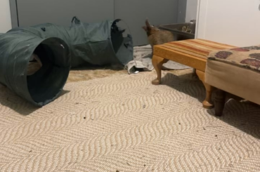 I think this is proof that she knows her name she just chooses not to listen