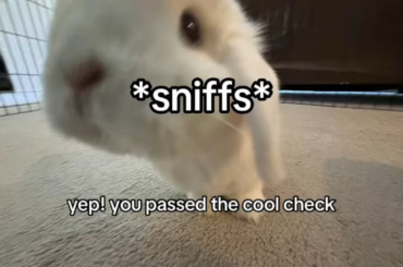 I just think ur so cool