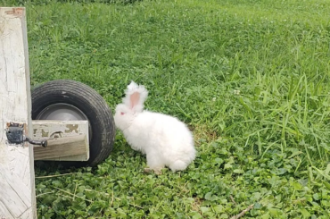Run away!!!