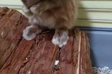 Desde pequeño es un chico muy limpio
