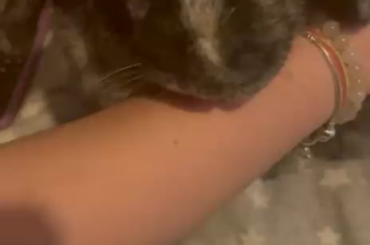 BunMum bonding🥰🥰