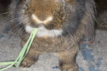 Crusher says “Hay ladies.”