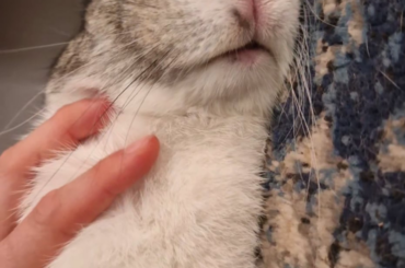 Not a care in the world for this one