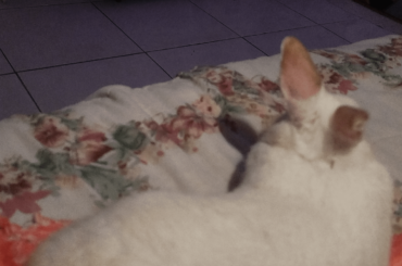 Watching tv🍤
