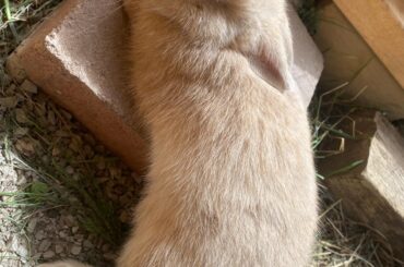 That does not look very comfortable..