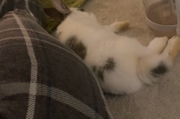Bug being a cutie girl