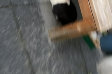What is this pls help