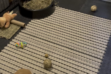 Bella’s new space