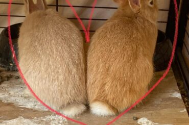 Aww they’re making a heart 🥹