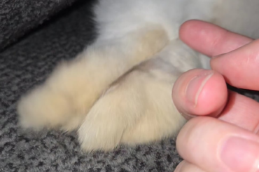 Alfie likes his feet being touched.