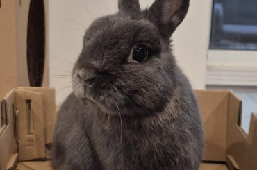 My baby girl has left us