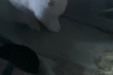 Is she scared?