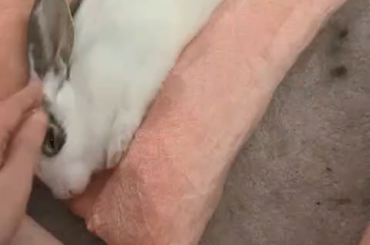 I promise she’s okay