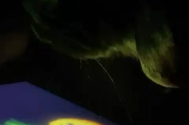 he clapped because he is impressed by the performance