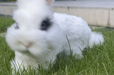 i live seeing him happy and curious when hes outside