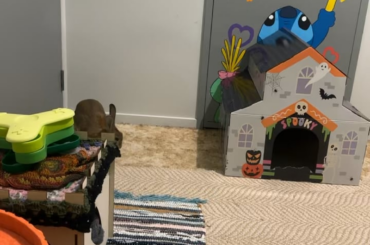 Rearranged her room today, Binkies to reclaim the space 😆