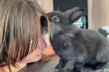 Didn't want a bunny but now I'm in love ❤️
