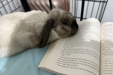 My reading partner