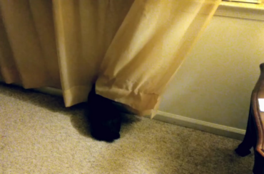 Muffin 2018 having fun